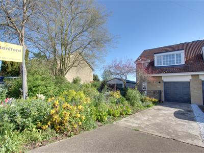 Picture 22